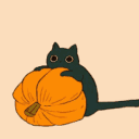 Halloween Cat Discord Pfp