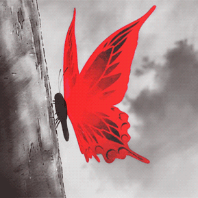 Red Butterfly - Animated Discord Pfp